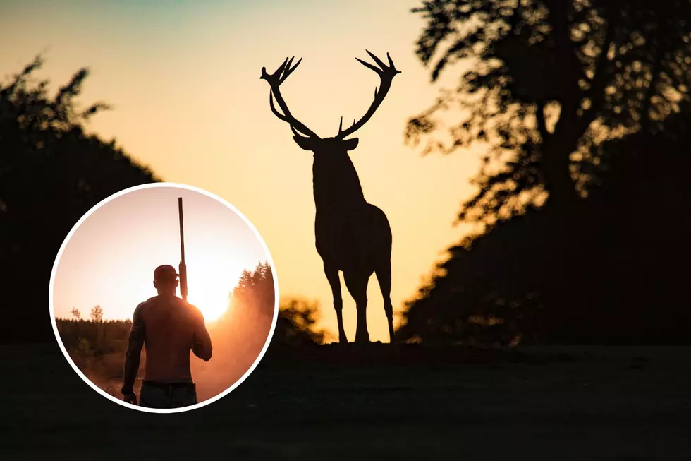 Is it Legal to Hunt Deer or Other Wildlife on Your Own Property in Texas?