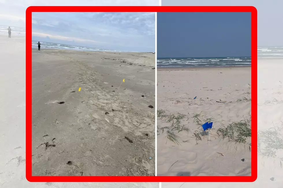 Avoid the Yellow and Blue Flags on South Padre Island at All Costs