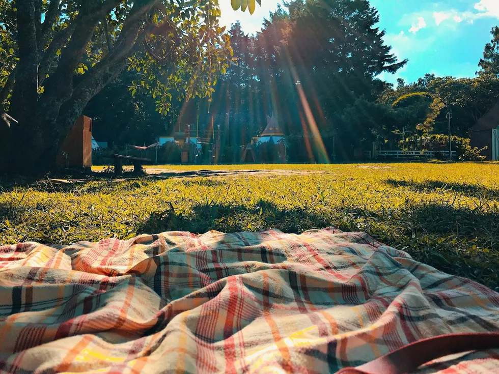 Locals Love These Scenic Picnic Spots Across East Texas