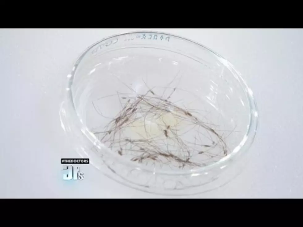 Super Lice Outbreak Amplified as Texas Schools Don’t Have to Send Kids Home